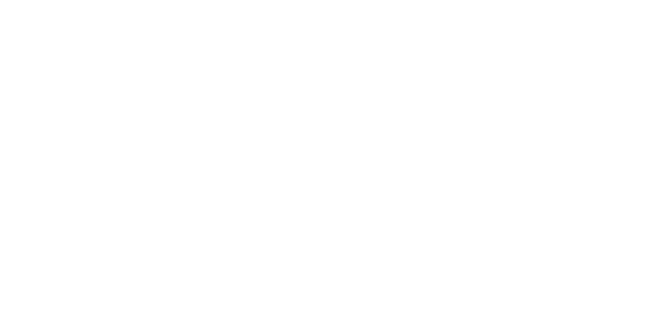 Holli Clem & Team