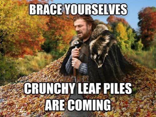 Autumn leaf pile meme: Brace yourselves, crunchy leaf piles are coming